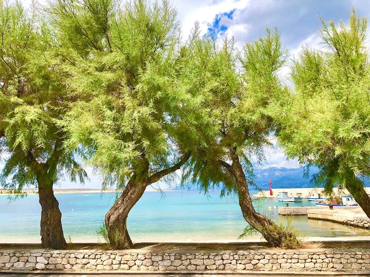 Apartments Atrium Blue Razanac Croatia